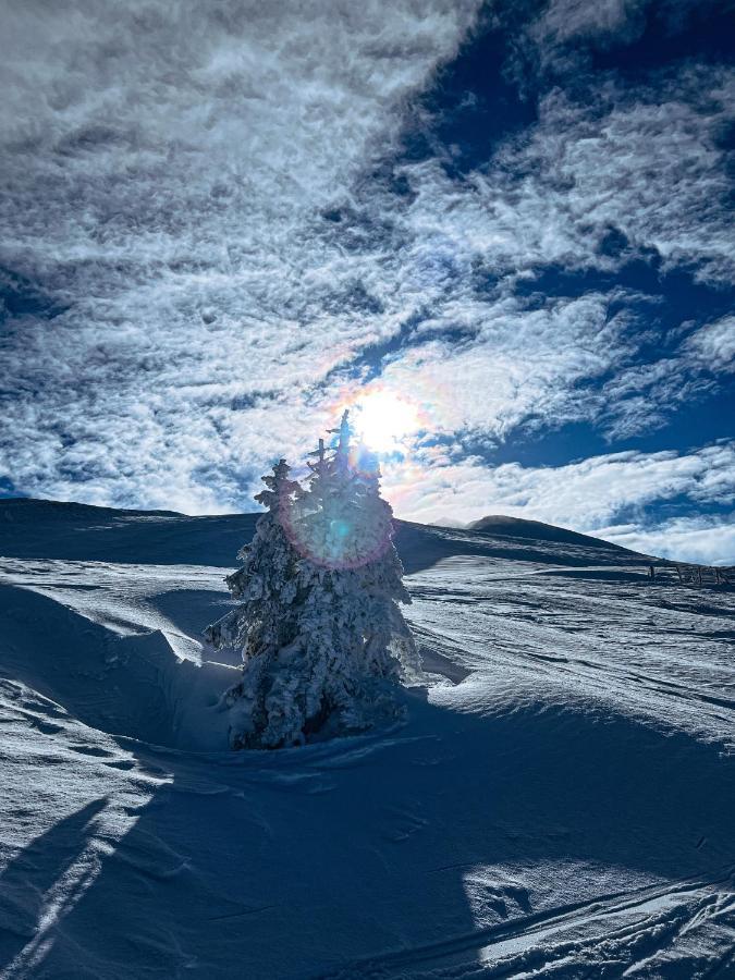 Linzerhaus Hotel Saalbach-Hinterglemm Bagian luar foto